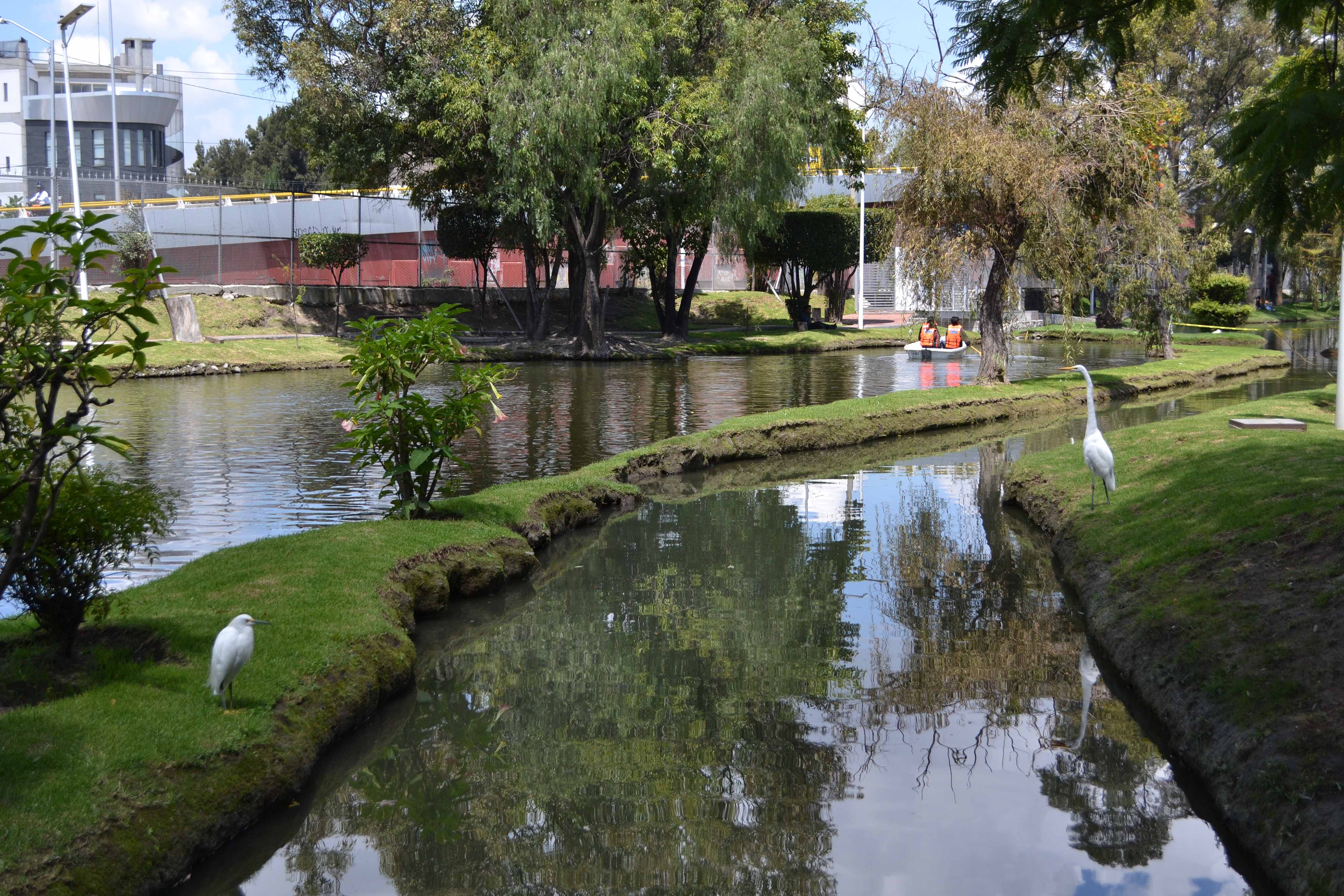 BUAP es la tercer universidad más sustentable en México