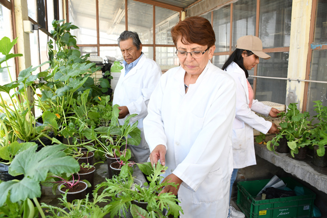 CICA de la BUAP, ejemplo de vinculación social entre ciencia y grupos más vulnerables