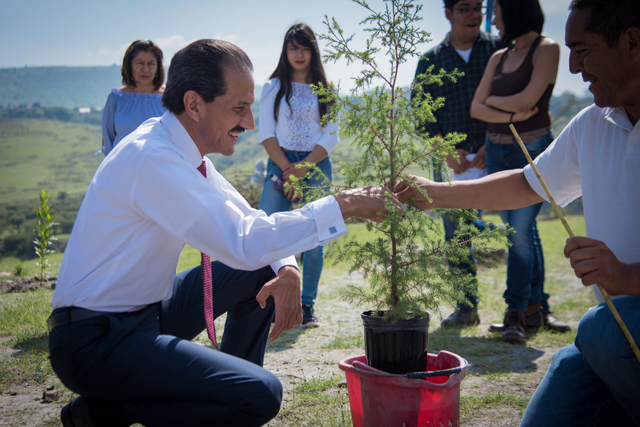 Reforestan el Ecocampus Valsequillo de la BUAP