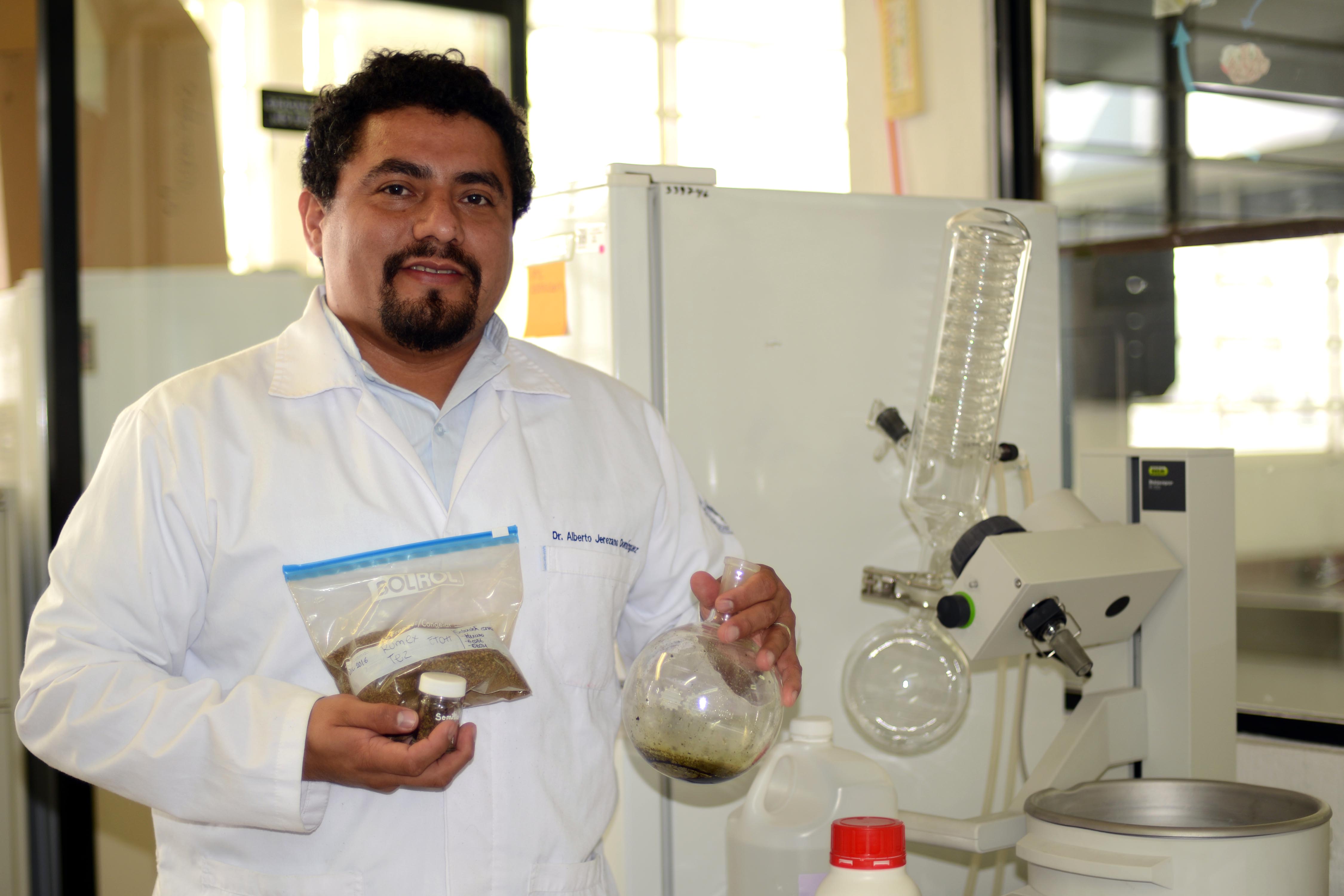 Lengua de vaca, planta medicinal para tratar enfermedades bucales