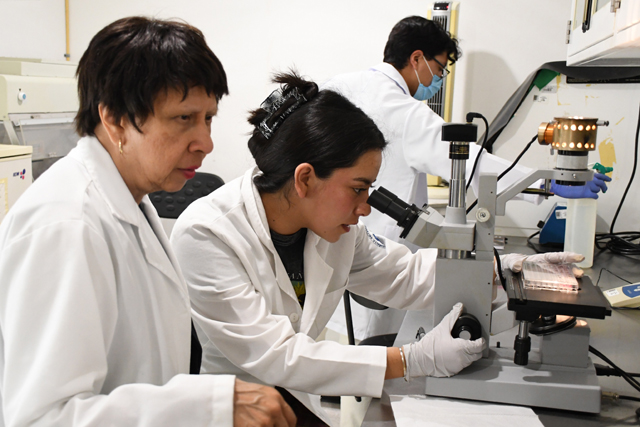 Con modelos computacionales, investigadores BUAP predicen y  la regeneración epitelial