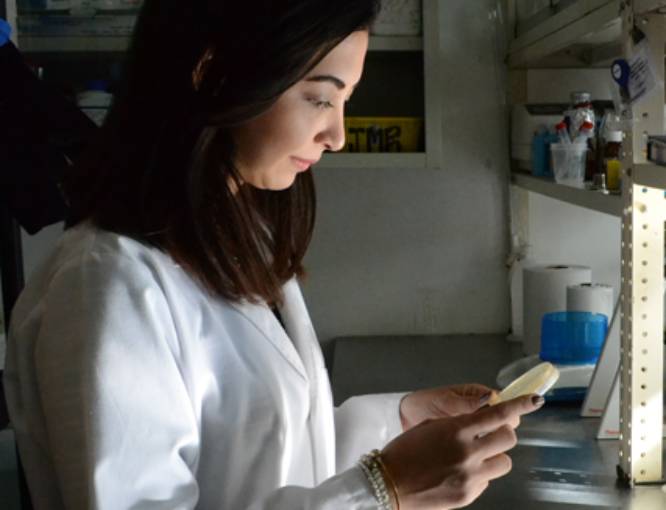 Impulsa la BUAP vocaciones científicas en los jóvenes del estado