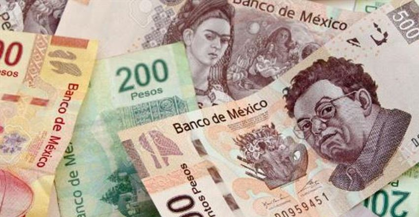 El peso mexicano registró una pérdida moderada contra el dólar 