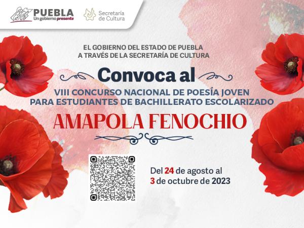 Convoca gobierno de Puebla a concurso de poesía para estudiantes de bachillerato