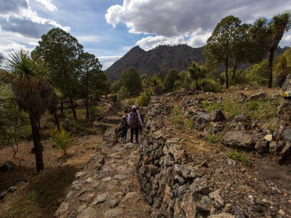 Recibe Puebla más de 57 mil visitantes en zonas arqueológicas y museos: Turismo