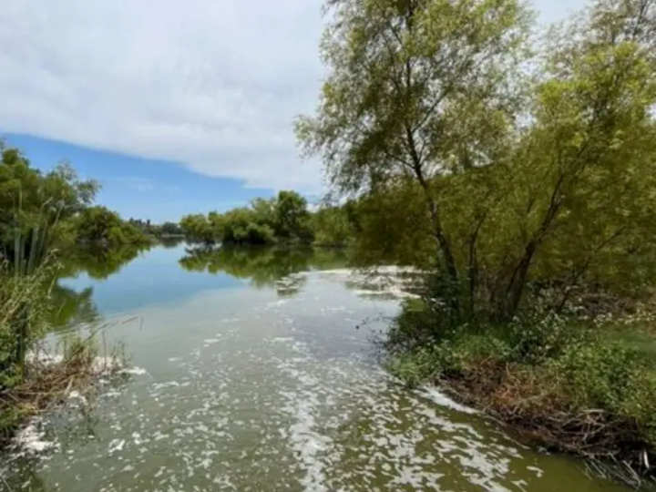 Desaparece fauna debido a una fuga de aguas negras en Nuevo León