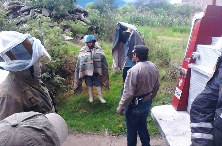 Ataque de abejas deja tres personas lesionadas en Teotlalcingo