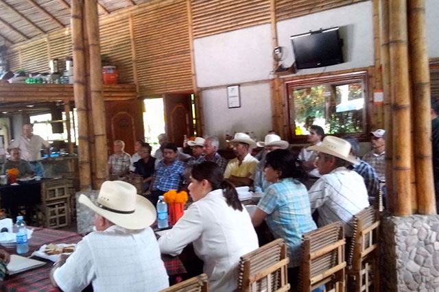 Pierden ganaderos 30 mdp por robo de ganado en Sierra Nororiental