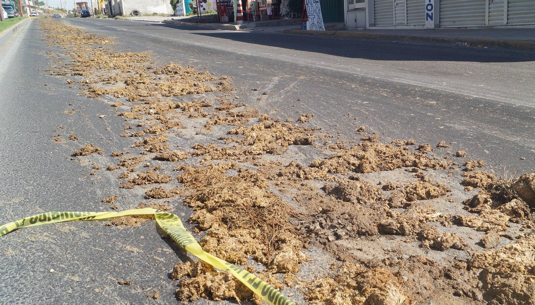 Pollos muertos y abono genera foco de infección en Tecamachalco