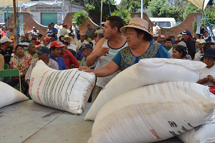 Entrega Parra Jiménez 50 toneladas de fertilizante a agricultores