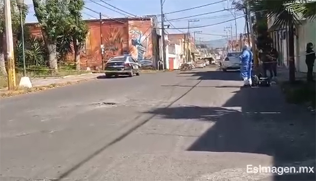 VIDEO Encuentran abuelito embolsado en el parque El Refugio en Puebla