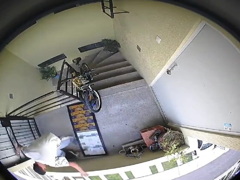 VIDEO Sujeto que lanzó a un lomito del tercer piso en Huejotzingo