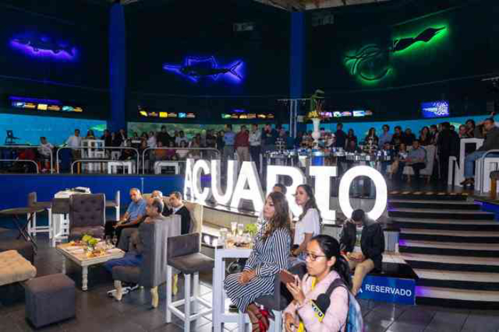 Cierran Acuario de Veracruz para fiesta privada; en riesgo las especies