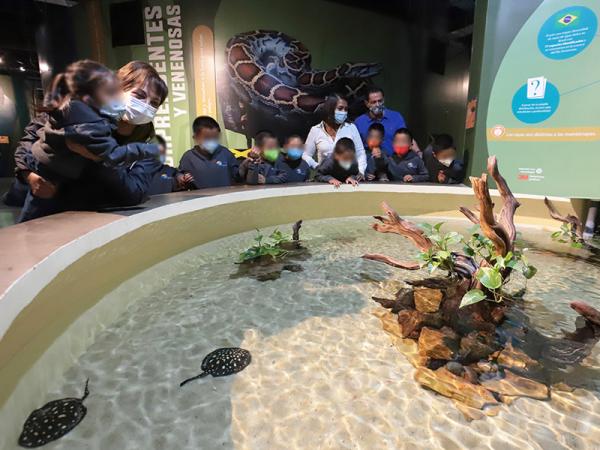 Disfrutan niñas y niños a resguardo del SEDIF del Acuario Michin
