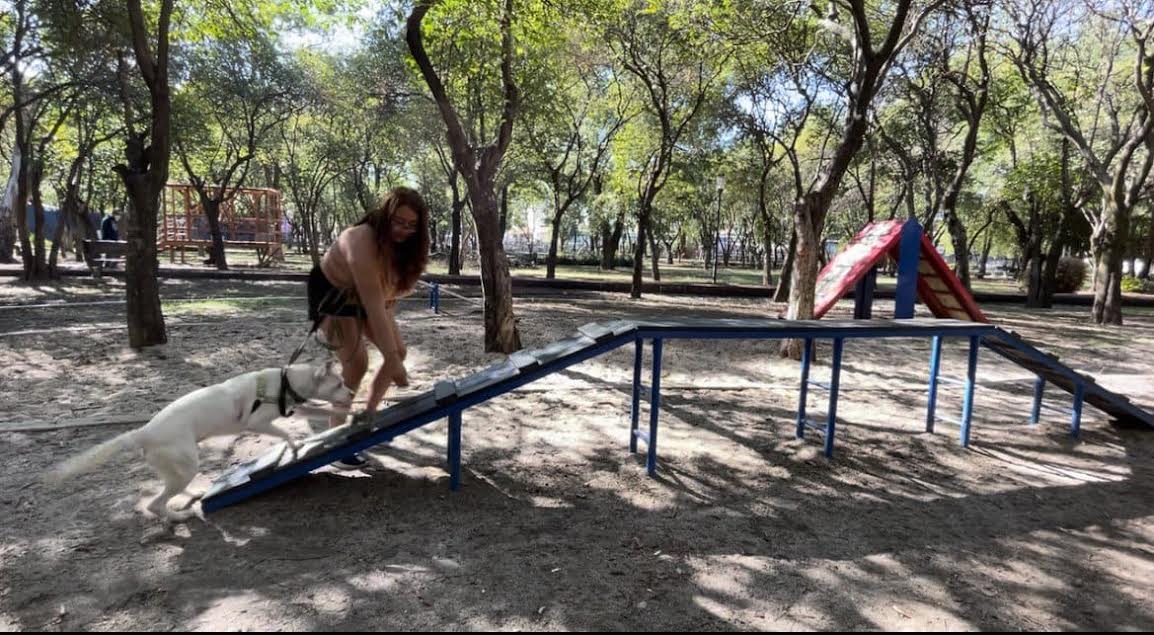Asiste al curso de Adiestramiento Canino en la Laguna de Chapulco