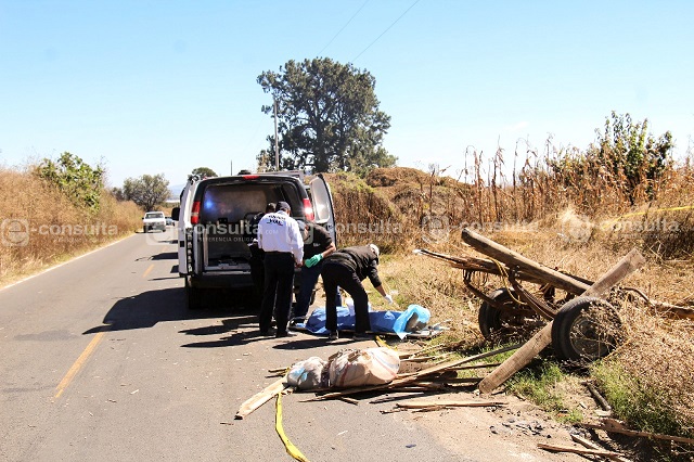 Muere campesino tras ser embestido por una camioneta