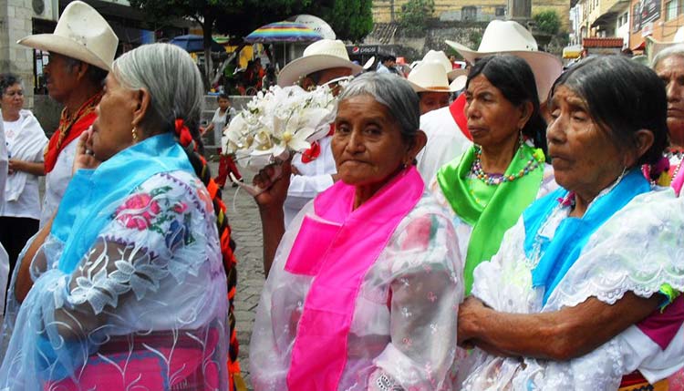 Fracasa difusión del Sedif dirigida a adultos mayores de la sierra norte