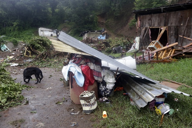  Son 400 las casas afectadas por Earl en Huauchinango: Protección Civil