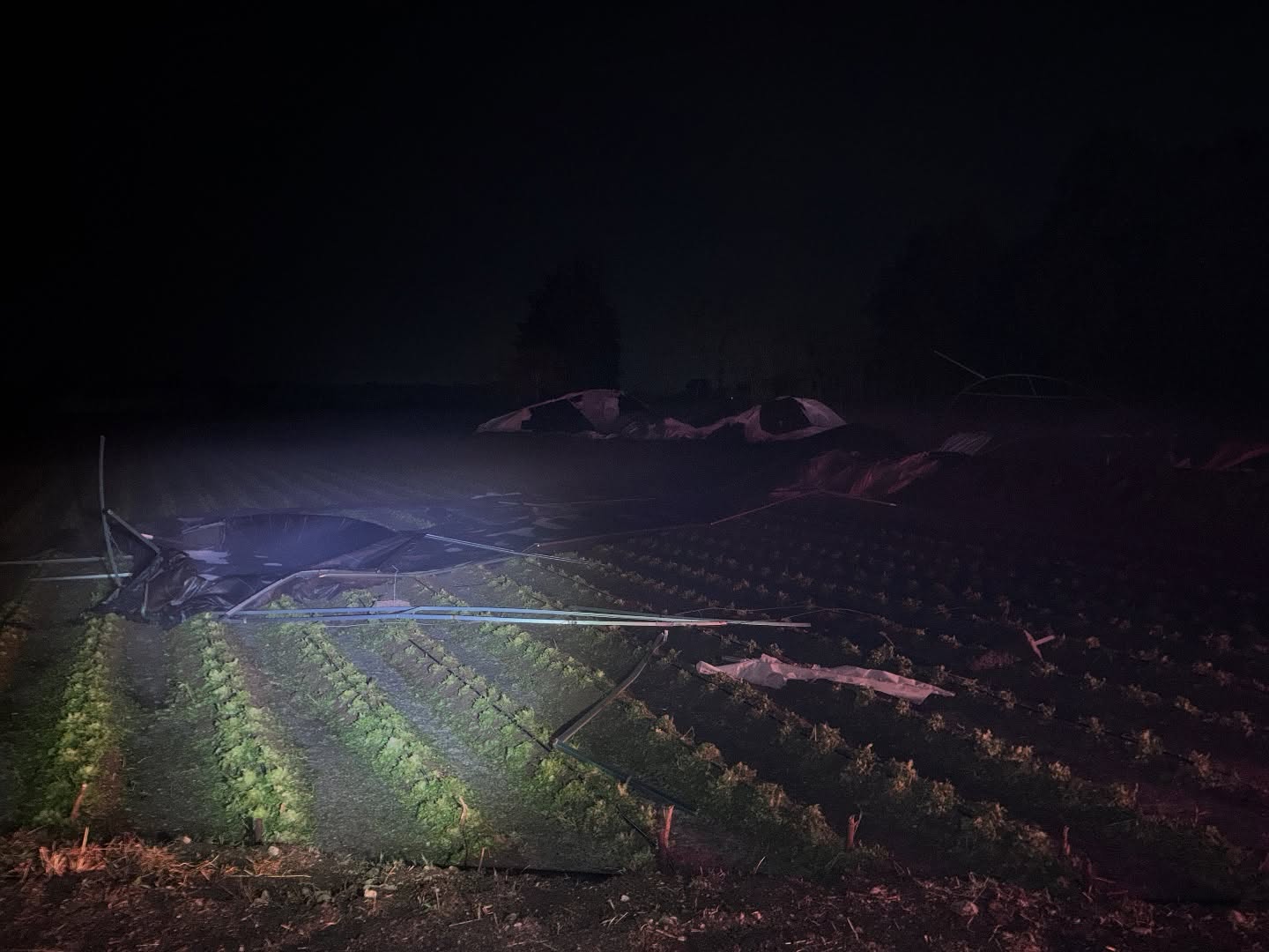 Fuertes lluvias dejan afectaciones en terrenos de cultivo de Tochtepec
