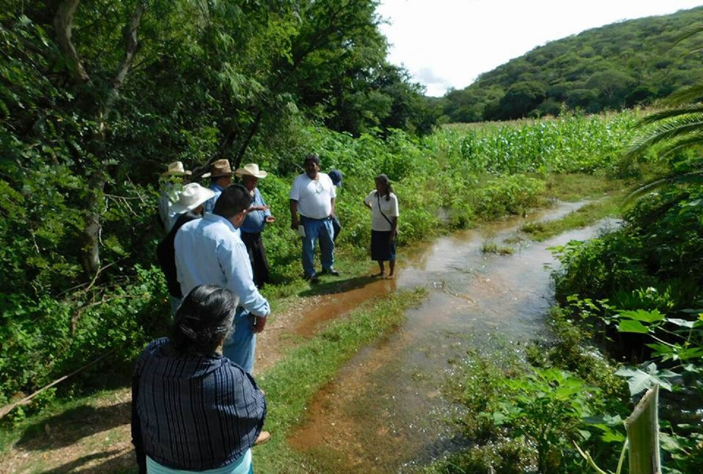 Anicano también reporta daños en cultivos por río Tizaac