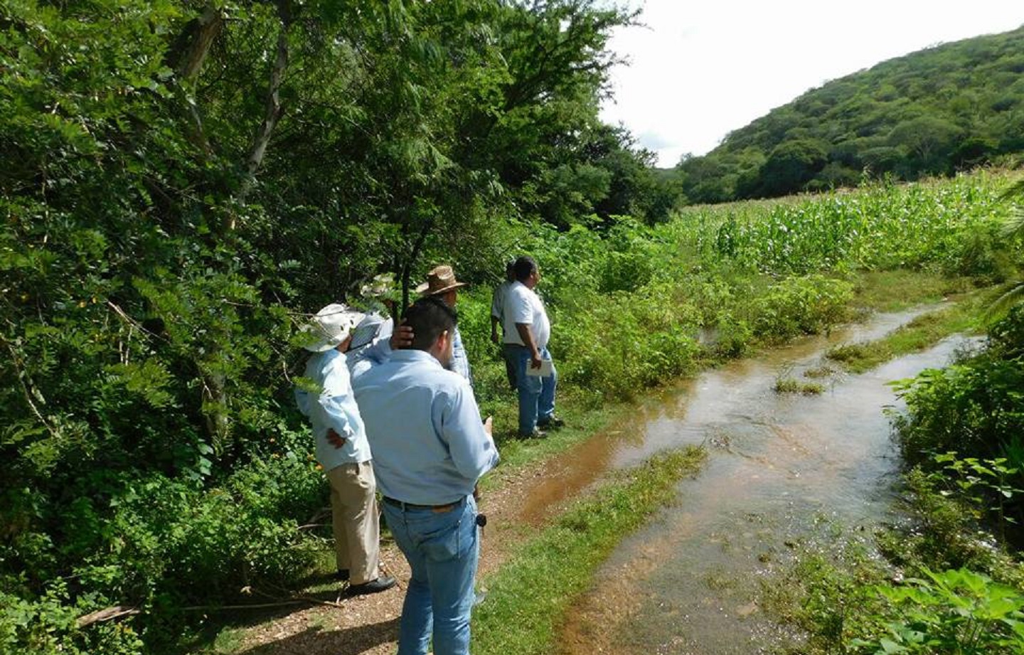 Anicano también reporta daños en cultivos por río Tizaac