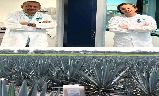 Egresado de la UAG patenta innovadora solución para proteger el agave