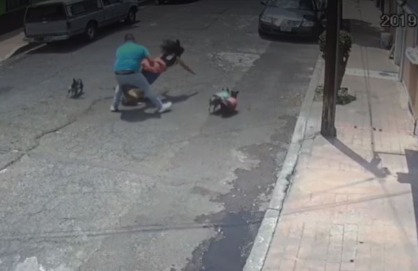 VIDEO Sujeto golpea a mujer que paseaba perrito