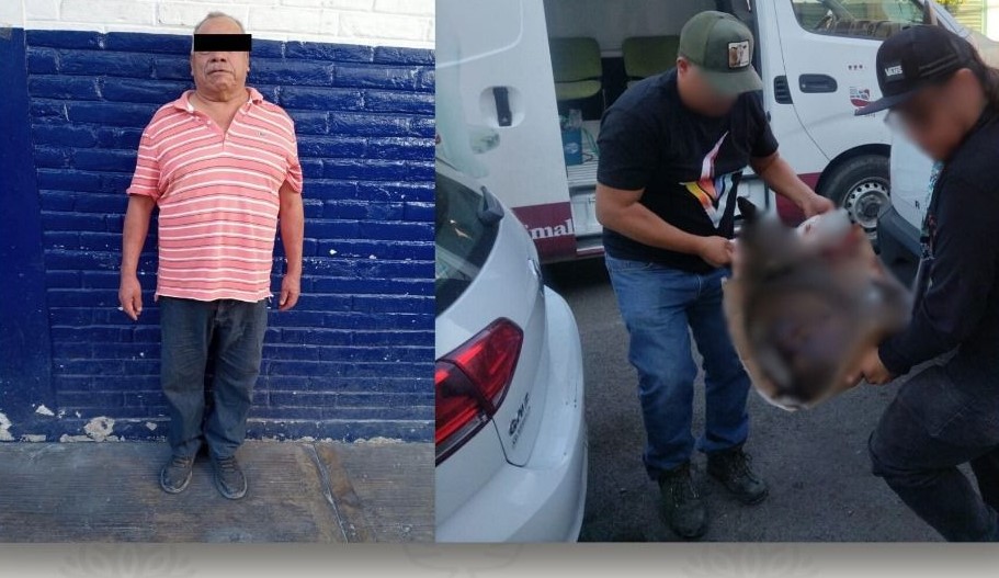 Vinculan a proceso a agresor de perrito Capitán, macheteado en San Diego Chalma