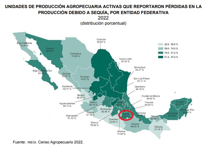 Sufre pérdidas por sequía el 84% de unidades agrícolas en Puebla: Inegi