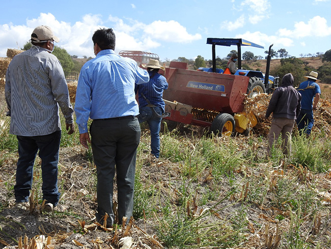 Ayuntamiento de Puebla reactiva 138 hectáreas para la producción agrícola 