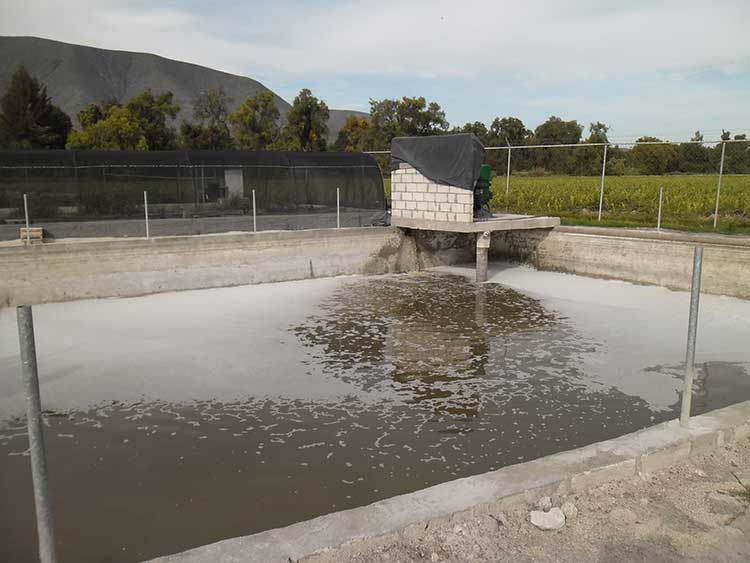 Campesinos de Toluquilla utilizan aguas residuales para riego