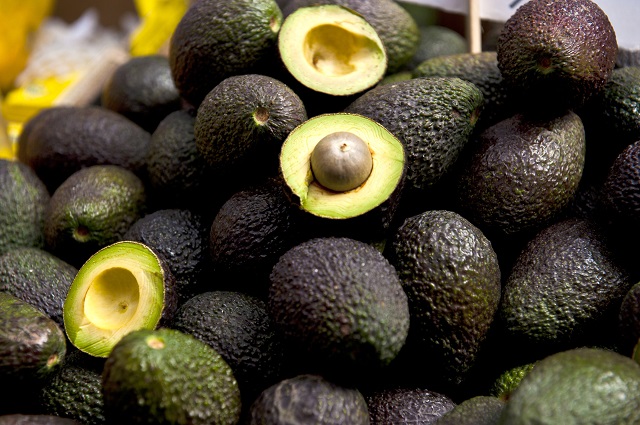 EU avala reiniciar con la importación de aguacate de Michoacán