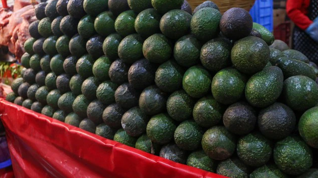 De viñedos, aguacates y autosuficiencias