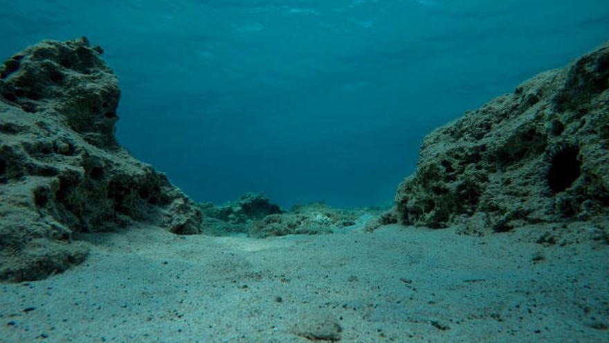 Revelan origen del agujero de gravedad en el océano Índico