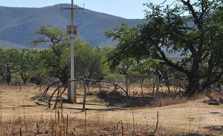 Ex edil de Ahuehuetitla se adueña de pozo y desaparece expediente