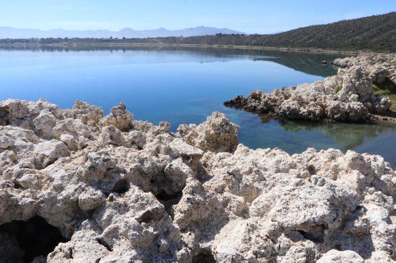 Con 500 nopales, exedil de Tepeyahualco buscó reparar ecocidio en la Laguna de Alchichica