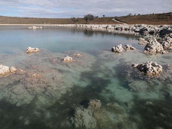 No habrá impunidad en el caso de la Laguna de Alchichica: Barbosa