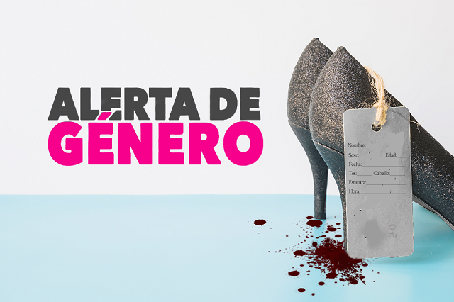 Gobierno no ha ejercido recursos para Alerta de Género
