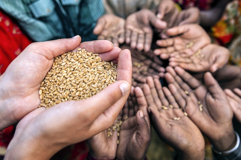 Advierten que después de Covid-19 viviremos crisis alimentaria