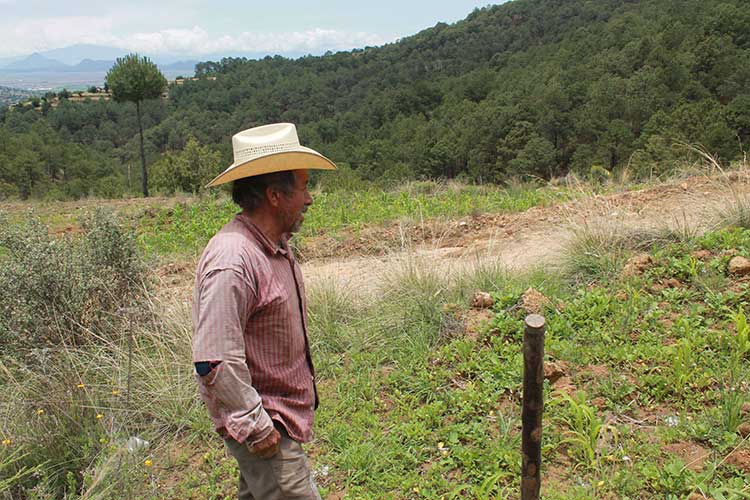 Almaden realizó exploraciones ilegales en Libres, acusan comuneros