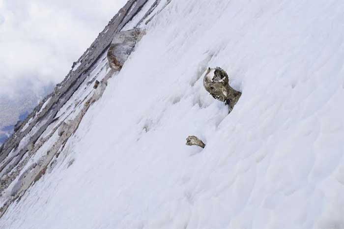 Piden ayuda a federación para ir por alpinistas momificados