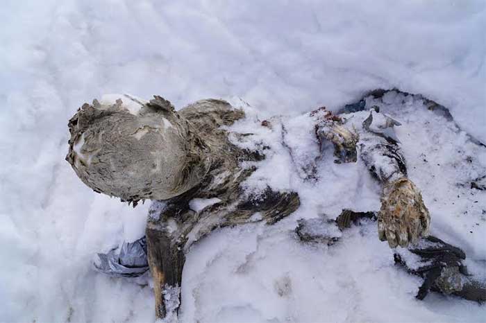 Rescatarán el lunes a alpinistas momificados en Citlaltépetl