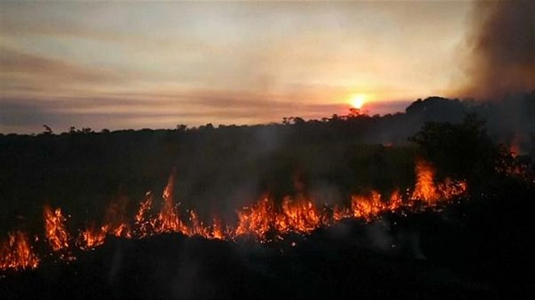 Despliega Brasil aviones contra nuevos incendios en el Amazonas