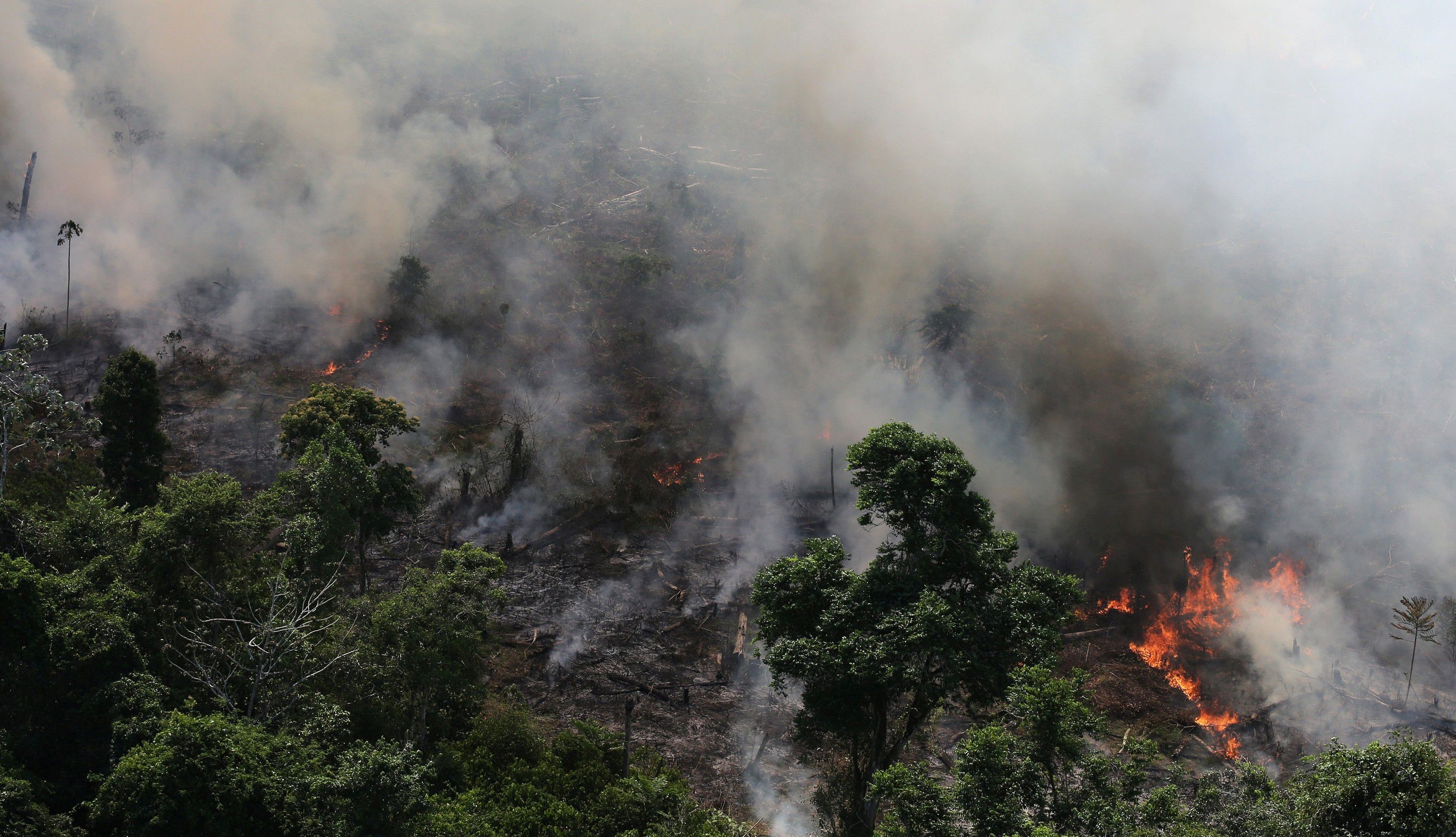 Amazonia sufre la mayor degradación en 15 años