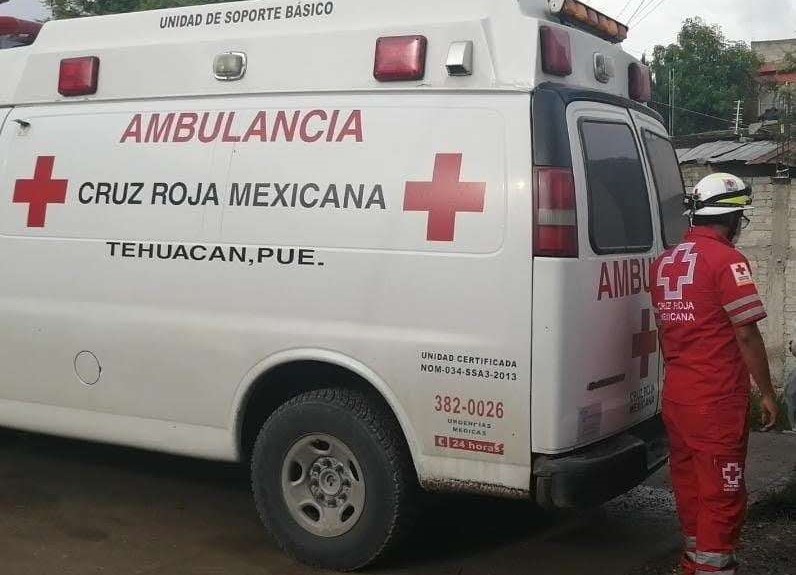 Abuelita es atacada por dos perros pit bull en Tehuacán