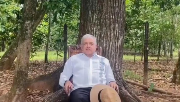 Golondrinas, ceibas y guacamayas para AMLO
