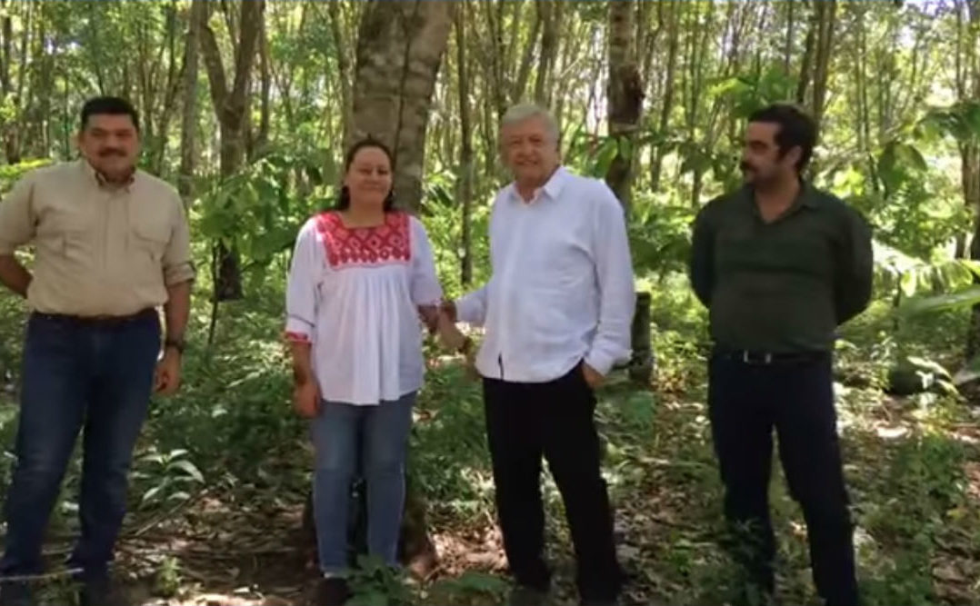 Con plan agroforestal nadie tendrá que migrar: AMLO