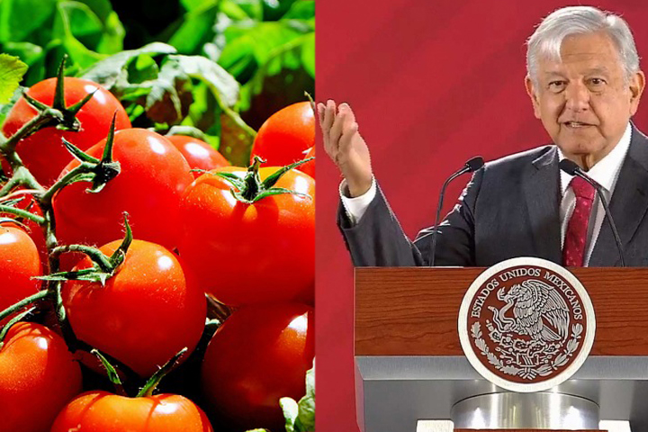 Injusto el arancel de EU al tomate mexicano: AMLO