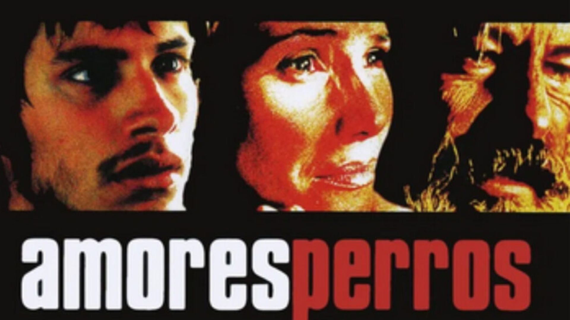MUBI exhibirá restauración 4K de “Amores Perros” en la Cineteca Nacional 