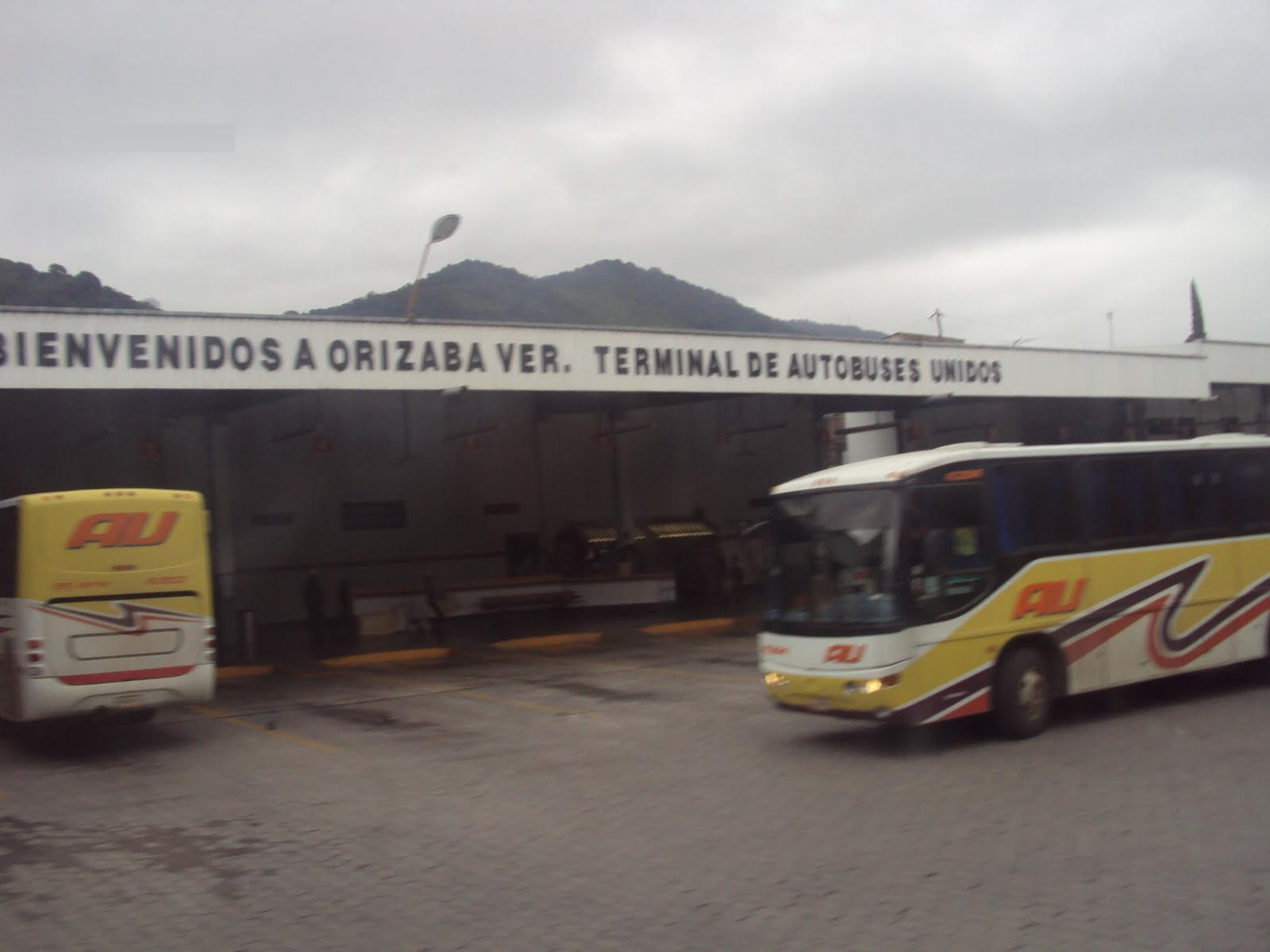 INM aseguró un grupo de migrantes que se dirigían a Tehuacán 